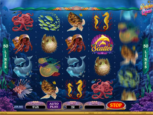 Dolphin Quest Slot Machine