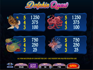 Dolphin Quest Slots Payout